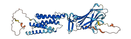 TMEM8B-a蛋白的三级结构图.png